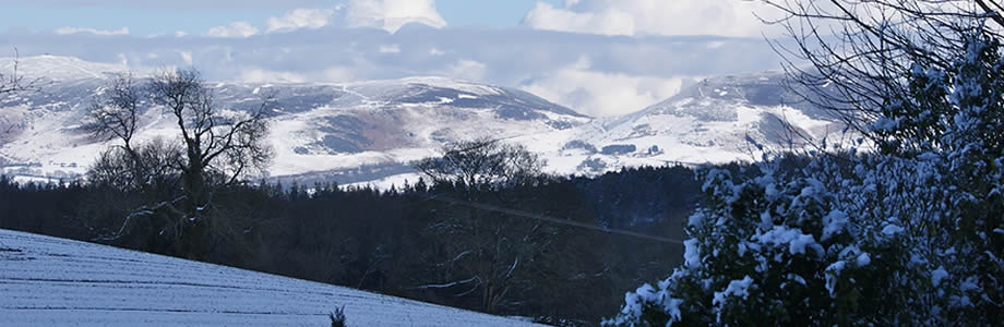 winter