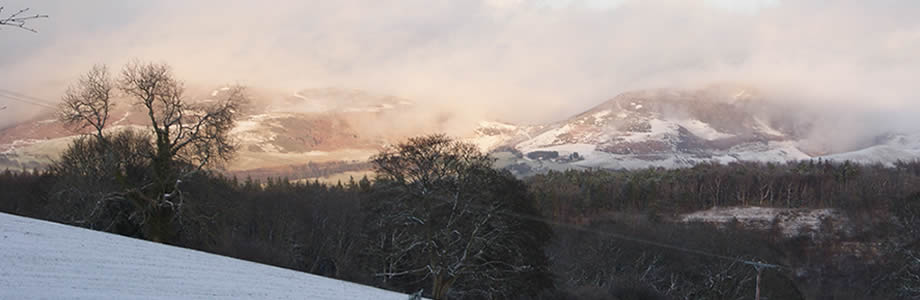 wintersun